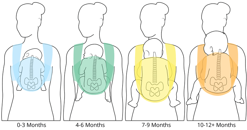 Position portage physiologique bébé première année dos