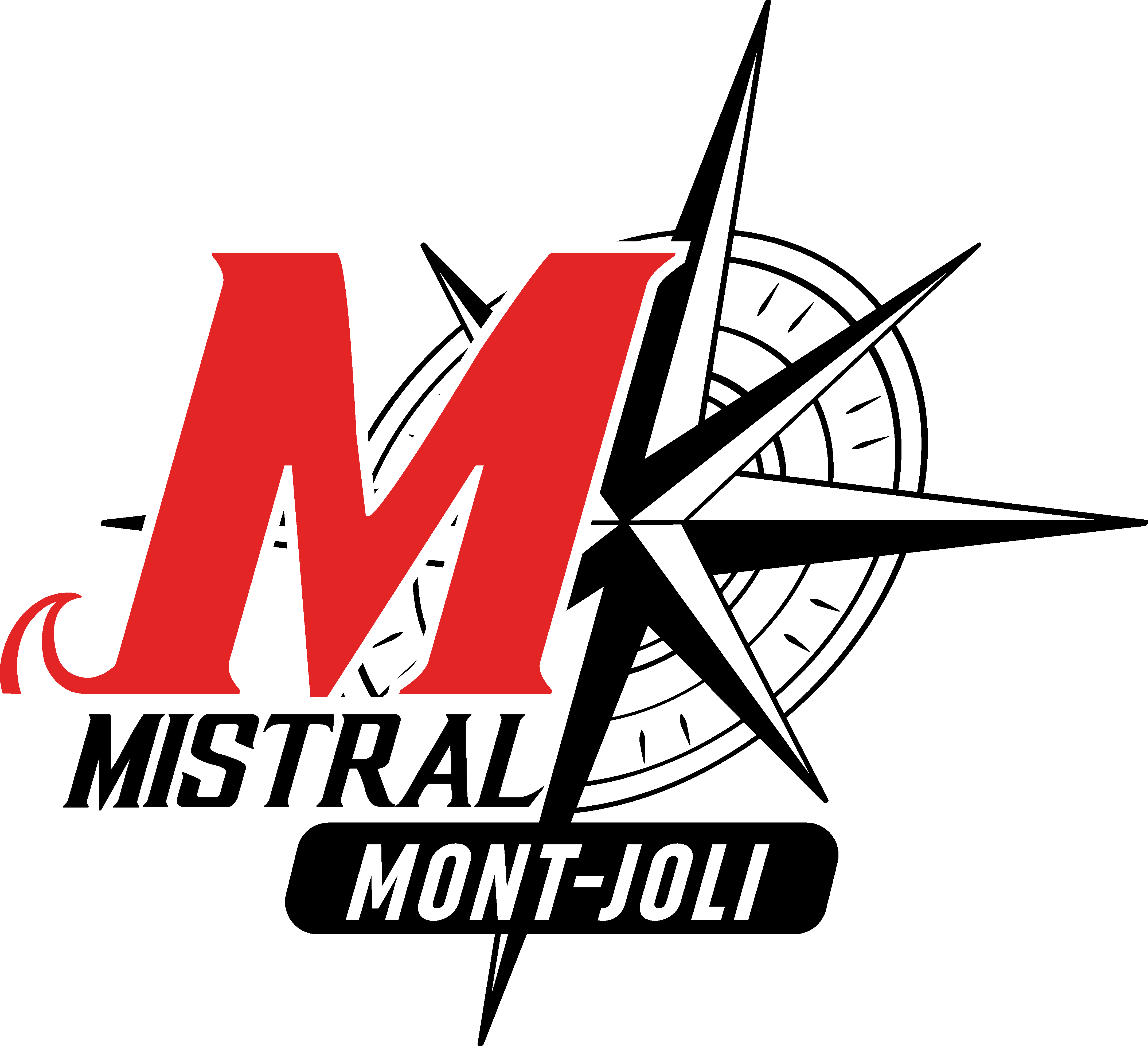 Logo Ecole Mistral coul