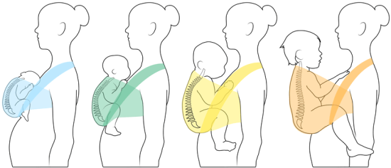 Portage physiologique posture bébé profil